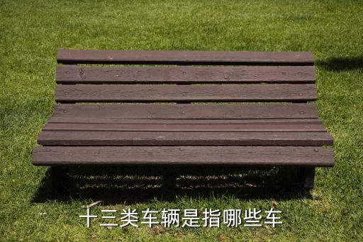 專用車都有哪些,殘疾人專用車有哪些...